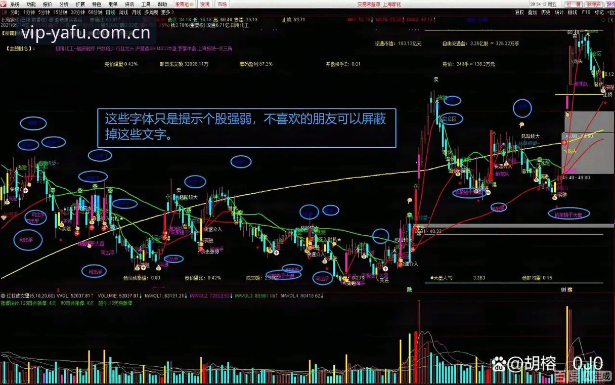 看懂亚富体育安卓客户端下载的5个硬核指标，再决定装不装
